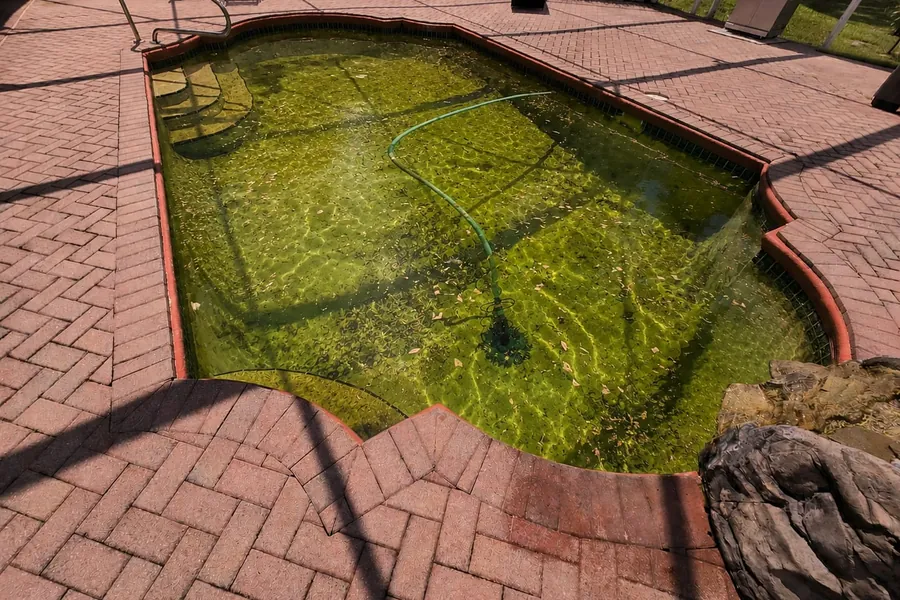 The same pool before service: water fully green with algae